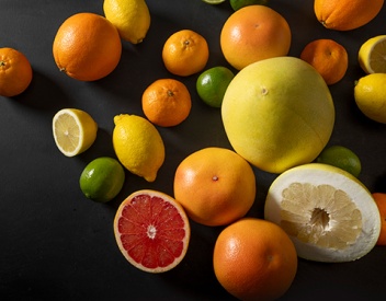 Citrus