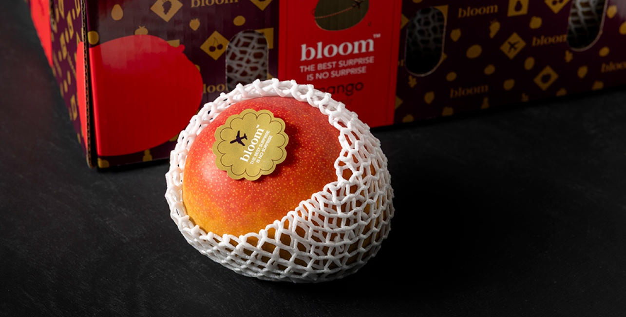 Our Premium Brand Portfolio