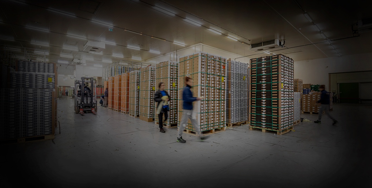 Who is Hoofdman Roodzant